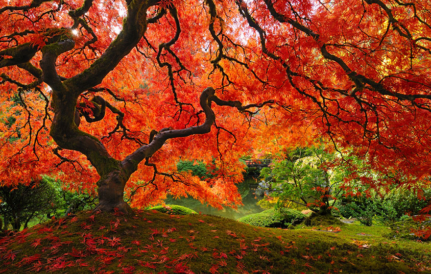25 magnifiques paysages d automne joli joli design 25 magnifiques paysages d automne joli joli design