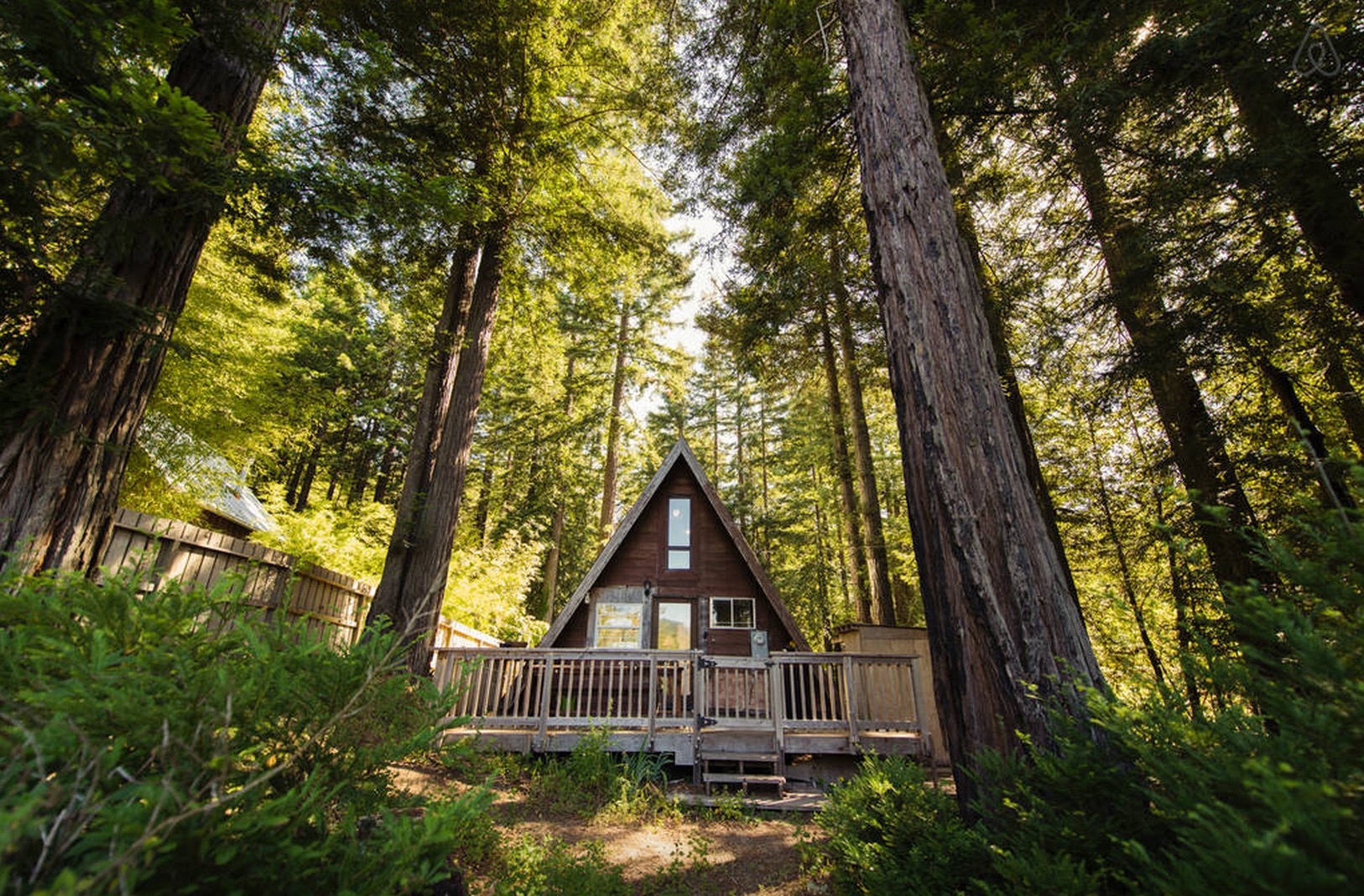 Cabin-Redwoods-Joli-Joli-Design-Cabine-14
