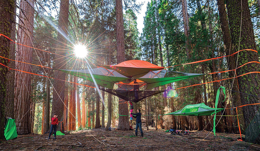 tree-tents-hammocks-camping-shelter-tensile-tentsile-7