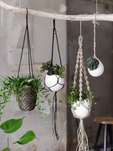 design-plantes-interieur-decoration-02