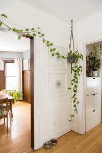 design-plantes-interieur-decoration-05