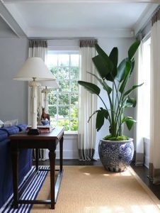 design-plantes-interieur-decoration-09
